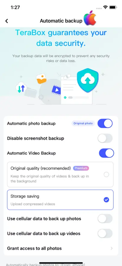 Auto Backup Feature Of Terabox For IOS