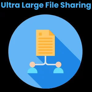 Ultra Large File Sharing