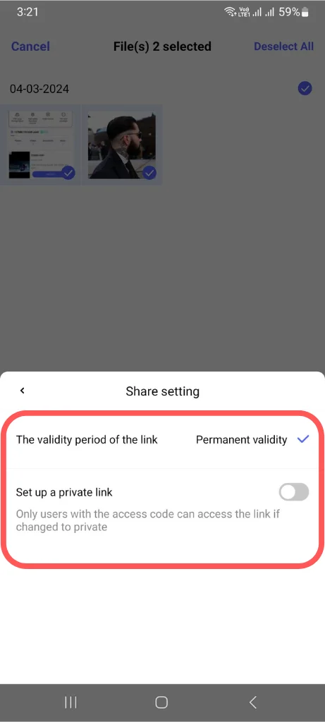 private link option